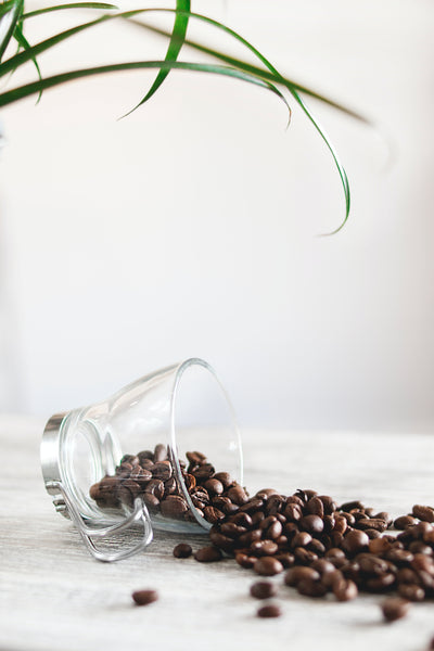 Comment choisir le meilleur café en grain ?