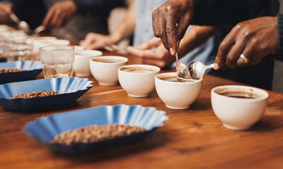 Le cupping