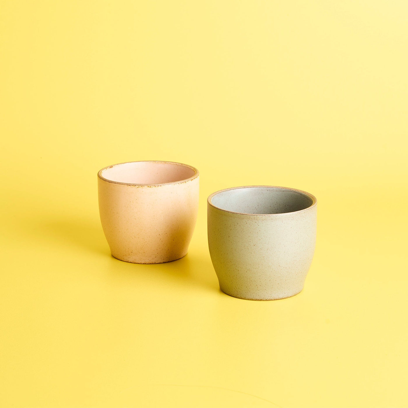Tasse - Kinto Yellow Tucan 